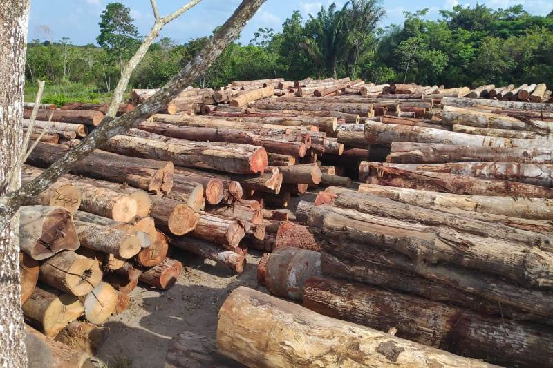 Semas faz a maior apreensão de madeira do ano em ação conjunta com órgãos federais