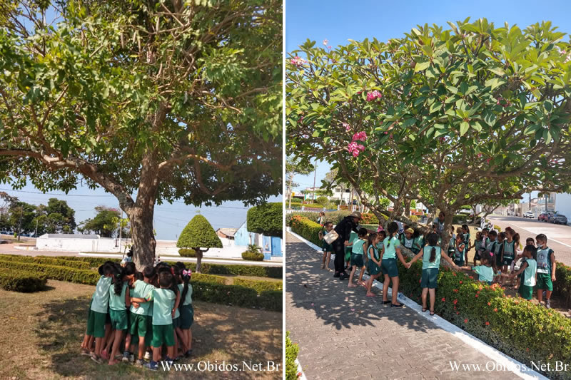  - ÓBIDOS: Crianças do Centro Educacional Bom Pastor comemoram  o Dia da Árvore