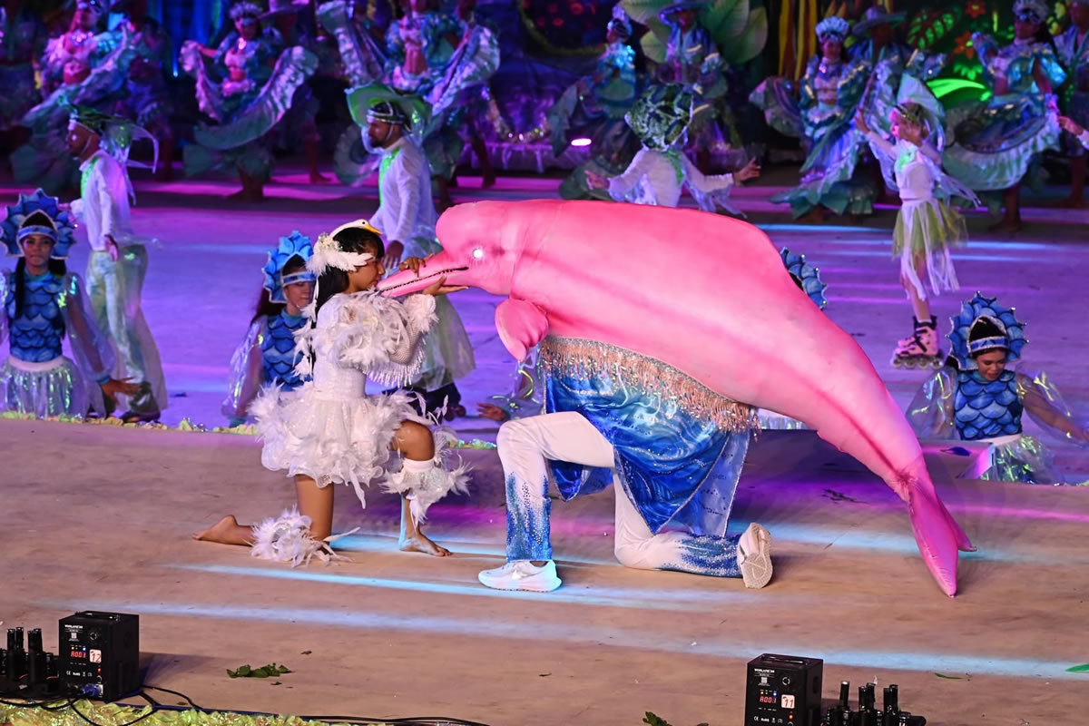 Sairé 2026: Botos Cor-de-Rosa e Tucuxi celebram a ancestralidade e a história de Alter do Chão
