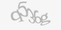 Código de segurança