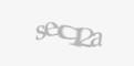 Código de segurança