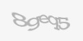 Código de segurança