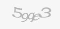 Código de segurança